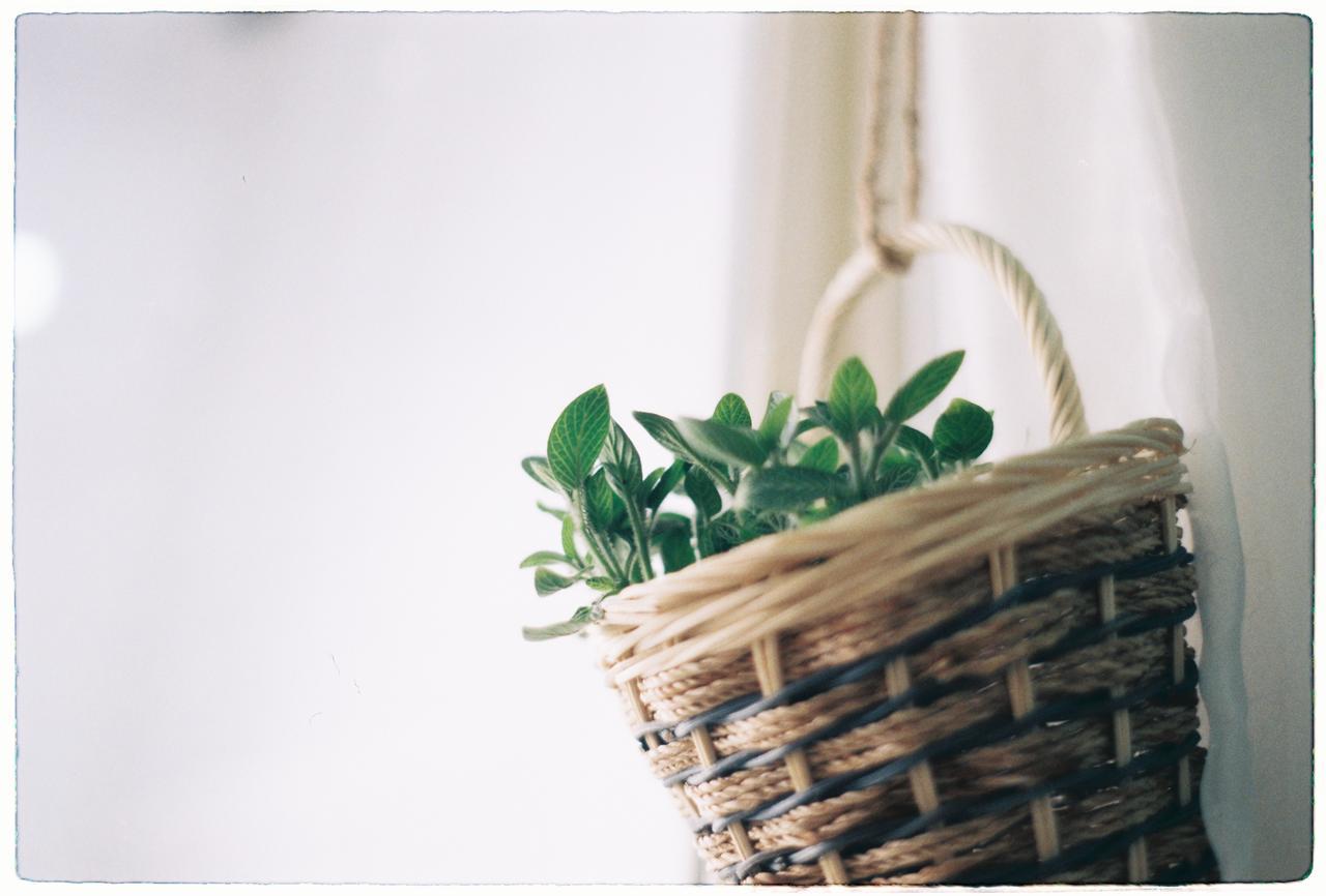 Magari Homestay TP. Hồ Chí Minh Ngoại thất bức ảnh