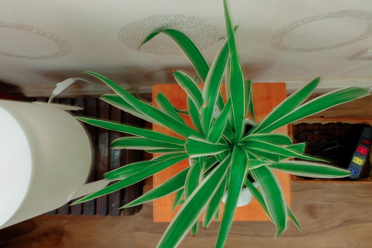 Magari Homestay TP. Hồ Chí Minh Ngoại thất bức ảnh