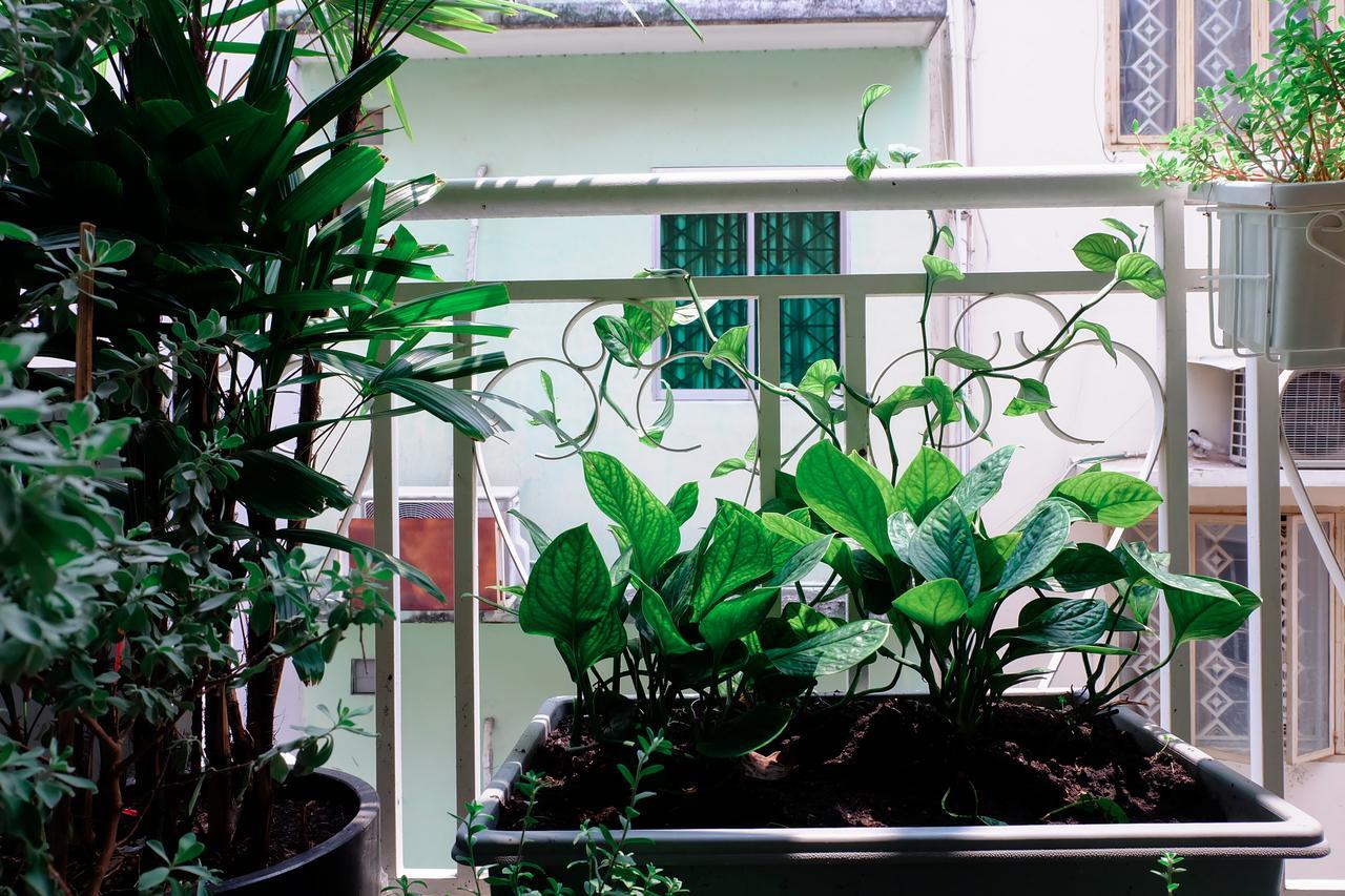 Magari Homestay TP. Hồ Chí Minh Ngoại thất bức ảnh